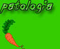 patologia